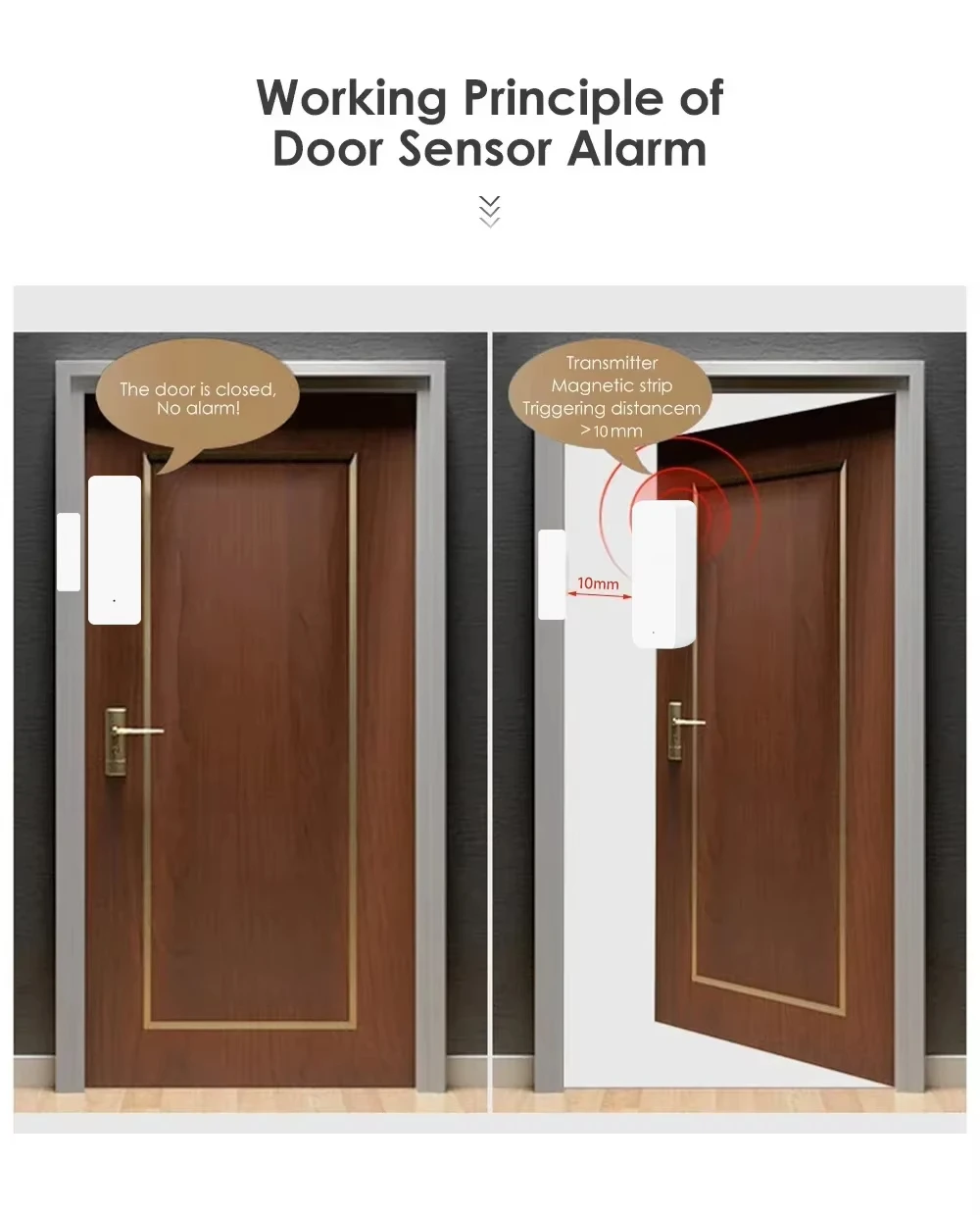 Tuya Zigbee/WiFi เซ็นเซอร์ประต - Window Alarm Sensor บทวิจารณ์และราคา